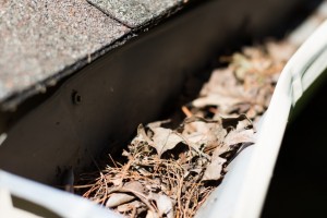 Gutter cleaning in Chester
